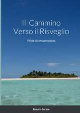 Il Cammino Verso il Risveglio