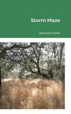 Storm Maze