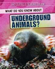 What Do You Know about Underground Animals?