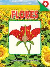 Flores: Flowers