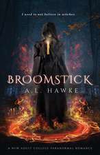 Broomstick