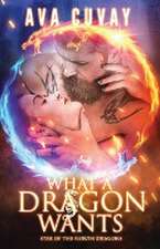 What a Dragon Wants