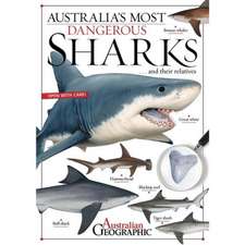 Australia's Most Dangerous Sharks