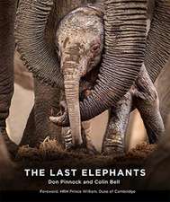 Bell, C: The Last Elephants