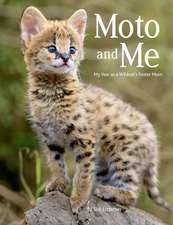 Moto and Me: My Year as a Wildcat's Foster Mom