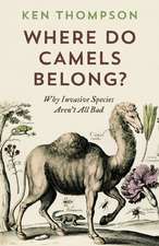 Where Do Camels Belong?: Why Invasive Species Aren't All Bad