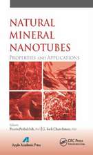 Natural Mineral Nanotubes: Properties and Applications