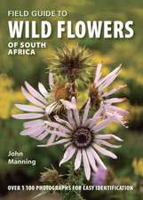 Manning, J: Field Guide to Wild Flowers of South Africa