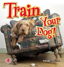 Train Your Dog