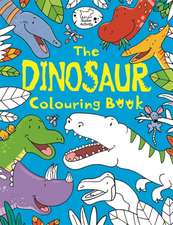 Mcdonald, J: Dinosaur Colouring Book