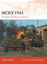 Sicily 1943: The debut of Allied joint operations