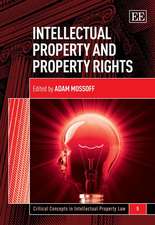 Intellectual Property and Property Rights