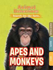 Apes & Monkeys