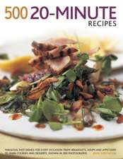 500 20-Minute Recipes: Fabulous, Fast Dishes for Every Occasion from Breakfasts, Soups and Appetizers to Main Courses and Desserts, Shown in