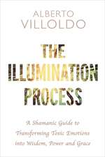 Villoldo, A: The Illumination Process