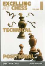 Excelling at Chess Volume 1. Technical and Positional