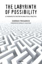 The Labyrinth of Possibility: A Therapeutic Factor in Analytical Practice