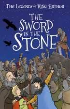 Mayhew, T: Sword in the Stone (Easy Classics)