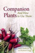 Companion Plants and How to Use Them