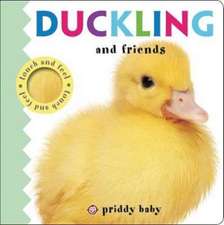 Duckling and Friends