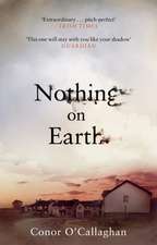 Nothing on Earth