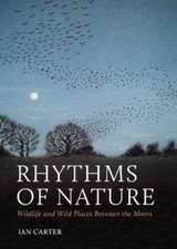 Rhythms of Nature