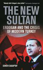 The New Sultan: Erdogan and the Crisis of Modern Turkey