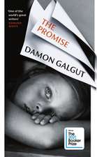 Galgut, D: The Promise