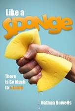 Like a Sponge