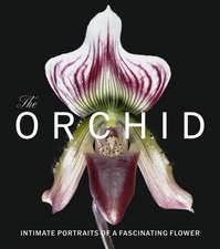 The Orchid