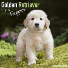 Golden Retriever Puppies Calendar 2019