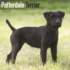 PATTERDALE TERRIERS W 2020