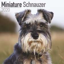 Miniature Schnauzer Calendar 2020