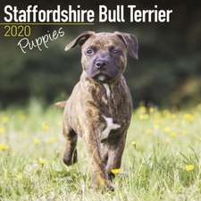 Staffordshire Bull Terrier Puppies Calendar 2020