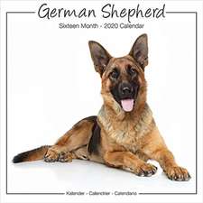 German Shepherd Studio Calendar 2020