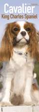 Cavalier King Charles Spaniel Slim Calendar 2020