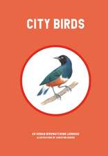 SRK: City Birds