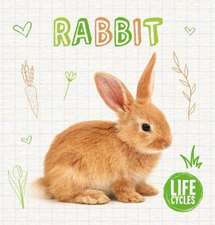 Vallepur, S: Rabbit