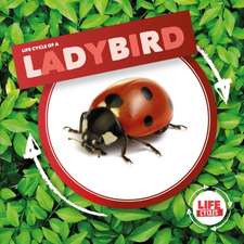 Ladybird