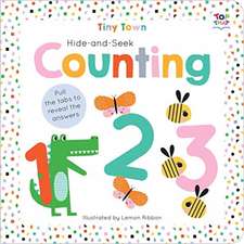 Hide-and-Seek Counting