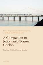 Companion to Joao Paulo Borges Coelho