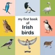 My First Book of Irish Birds