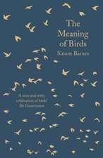 Barnes, S: Meaning of Birds