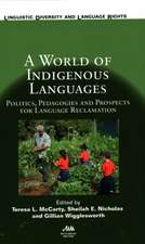 A World of Indigenous Languages: Politics, Pedagogies and Prospects for Language