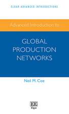 Advanced Introduction to Global Production Networks