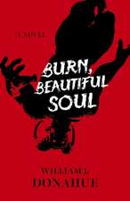 Burn, Beautiful Soul – A Novel