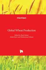 Global Wheat Production