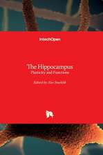 The Hippocampus