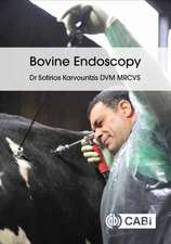 Bovine Endoscopy