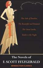 The Novels of F. Scott Fitzgerald